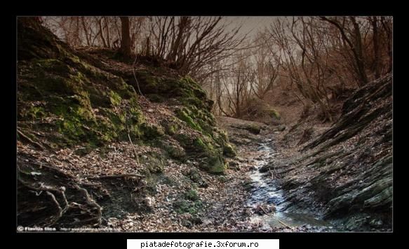 kingdom of heaven - ilica_flavius - Foto-comment