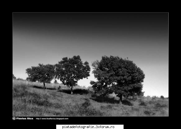 kingdom of heaven - ilica_flavius - Foto-comment