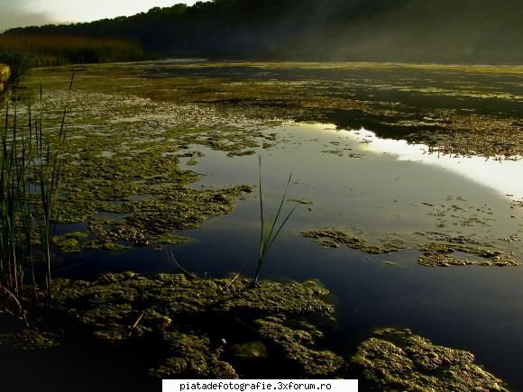 lacul Snagov - se putea si mai bine - Foto-comment