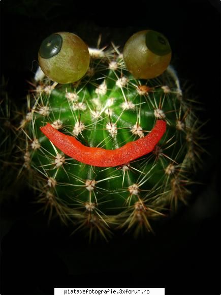 let`s have some fun! - nOname Girl - Foto-comment