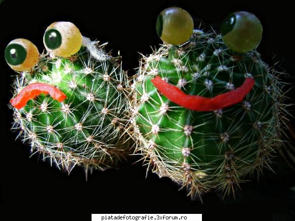 let`s have some fun! - "-Hey...what`s there? -Where? - Foto-comment