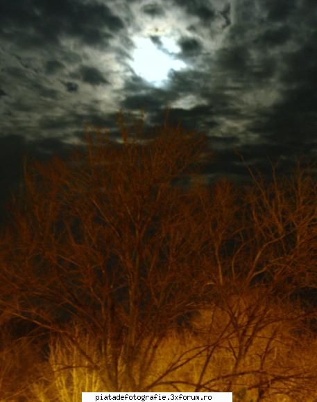 luna - am sa mai pun o poza facuta zilele astea . va - Foto-comment