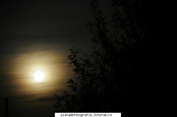 luna - cam pe aceiasi idee - Foto-comment