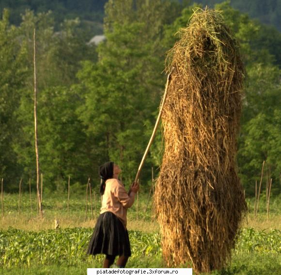 maramures plai cu flori - tamas_vali - Foto-comment