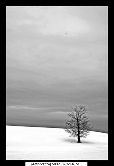 o serie fara noima - tamas_vali - Foto-comment