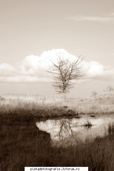 o serie fara noima - tamas_vali - Foto-comment
