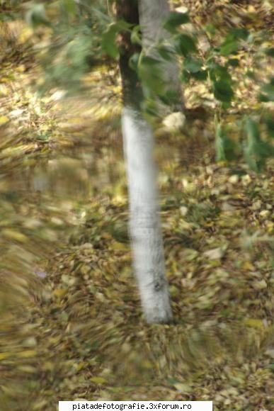 octombrie,acasa - Să vezi acum critici! - Foto-comment