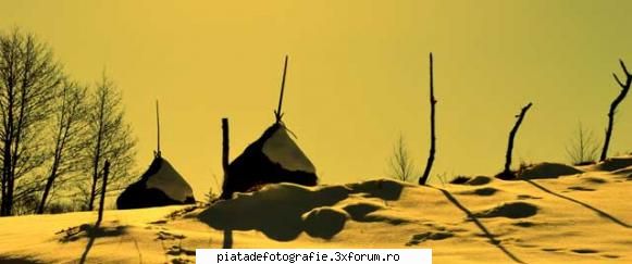 salutari - pleata - Foto-comment