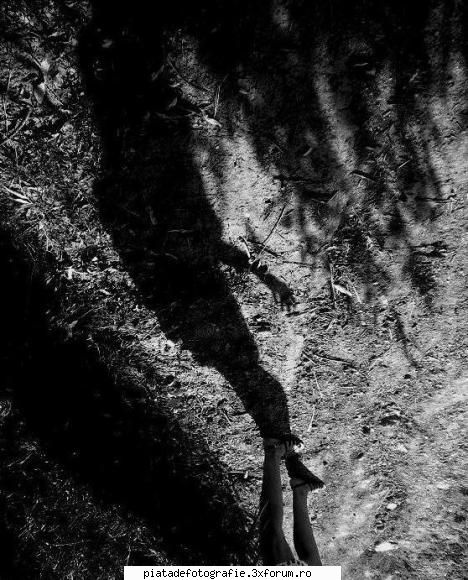 "shadows" - cristina mina - Foto-comment