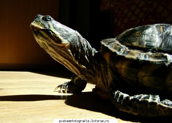 story - "but hey....what is there?" - Foto-comment
