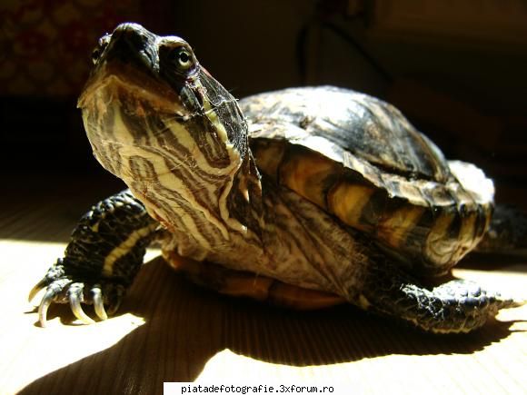 story - "maybe i should go closer" - Foto-comment