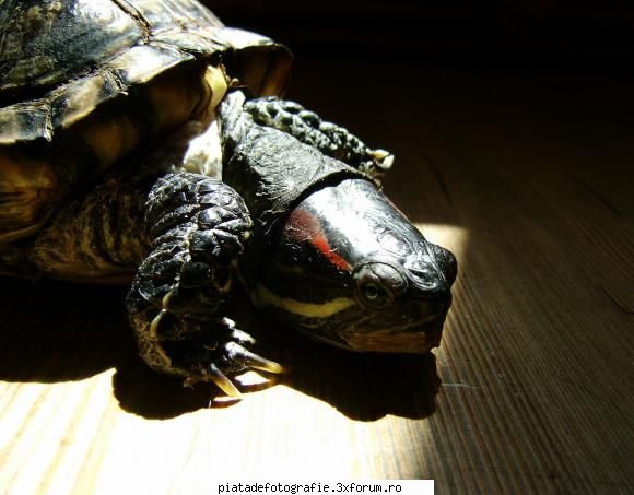 story - "hmmm....that was not a good idea" - Foto-comment
