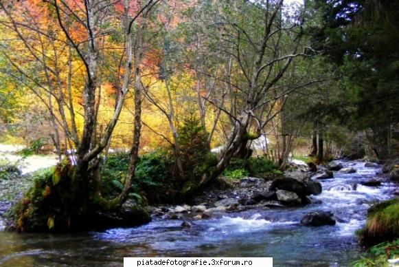 toamna - constantin - Foto-comment