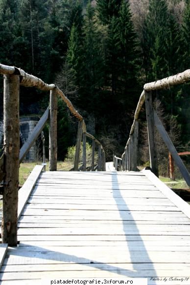 trecere... - calinutz78 - Foto-comment