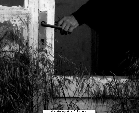 trecut.si deschis. - trecut.si deschis dumitrache radu a dat idei la - Foto-comment